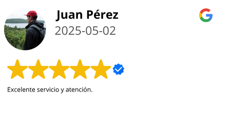 Reseña 1